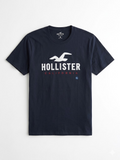 Franela hollister