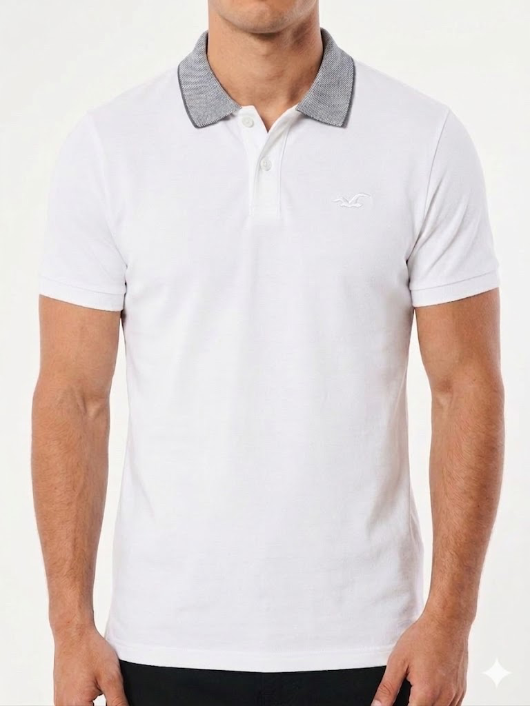 Chemise Hollister