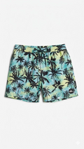 Short quiksilver