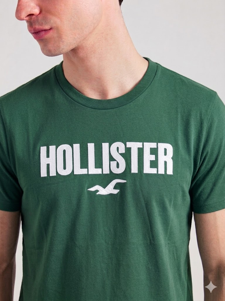 Franela hollister