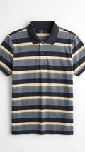 Chemise rayas hollister