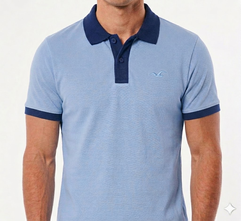 Chemise Hollister