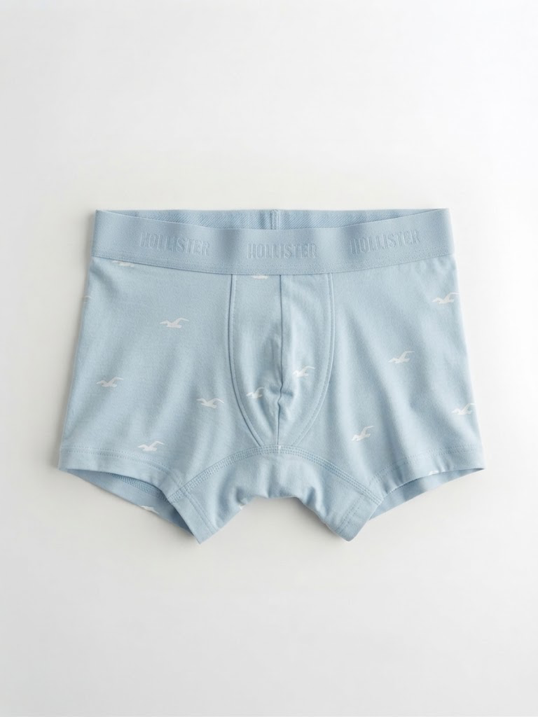 Boxer 04