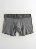 Boxer 22