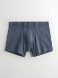 Boxer 19